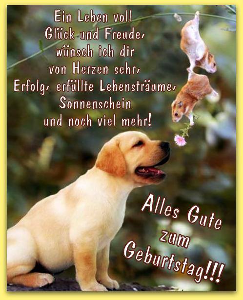 Alles Gute zum Geburtstag !