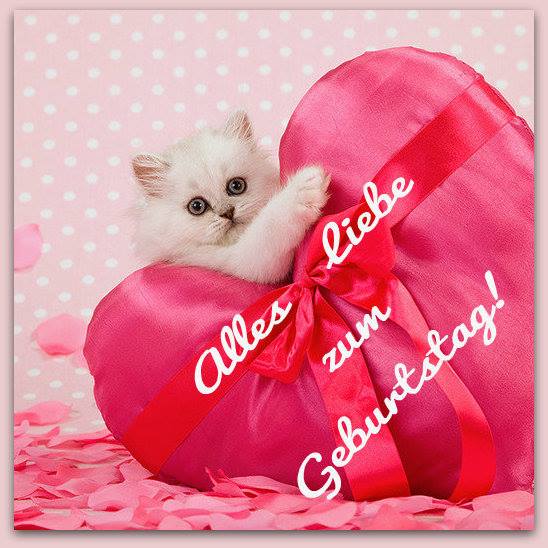 Alles Gute zum Geburtstag - Cat Image !