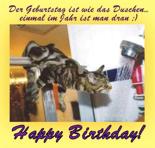Alles Gute zum Geburtstag - Cat Image