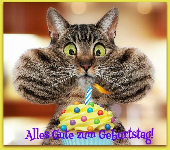 Alles Gute zum Geburtstag - Cat