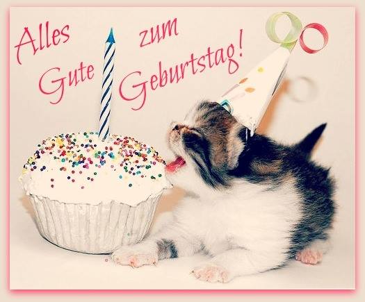 Alles Gute zum Geburtstag - Cute Cat Image