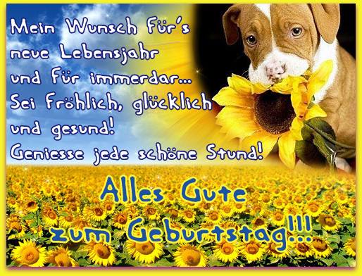 Alles Gute zum Geburtstag - Flower For U