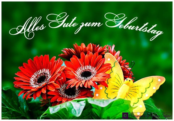 Alles Gute zum Geburtstag - Flowers