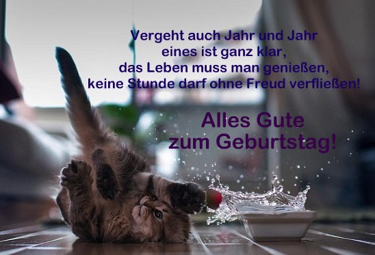 Alles Gute zum Geburtstag - Naughty Cat Image