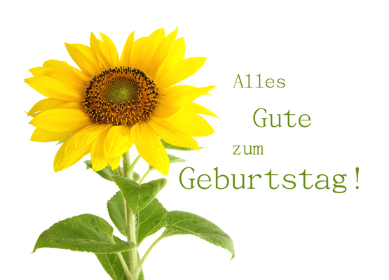 Alles Gute zum Geburtstag - Sunflower