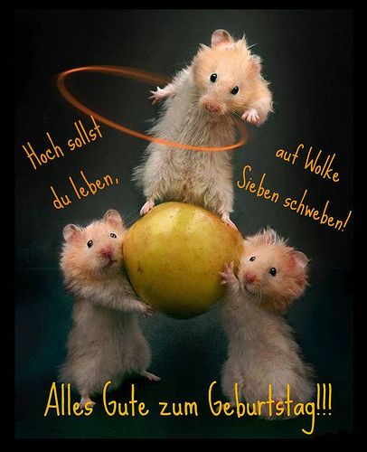 Alles Gute zum Geburtstag - Sweet Image