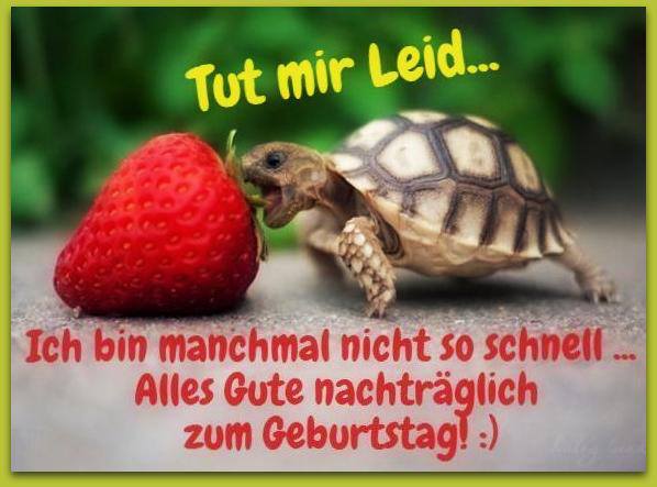 Alles Gute zum Geburtstag - Turtle !