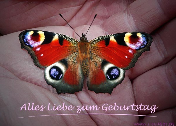 Alles Gute zum Geburtstag With Butterfy