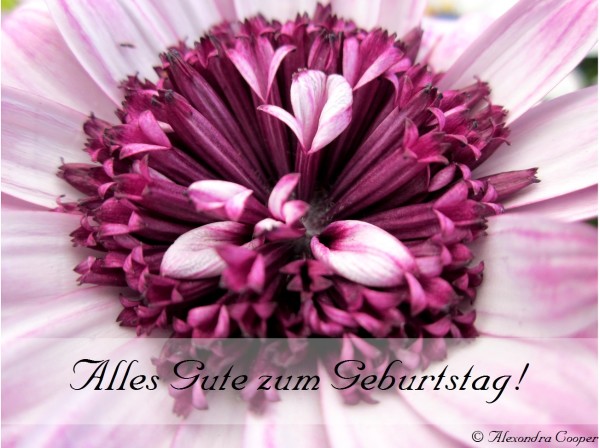 Alles Gute zum Geburtstag - Wonderful Flower