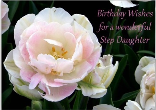 Birthday Wishes For A Wonderful Birthday-wb16011