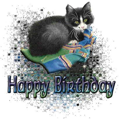 Happy Birthday - Black Cat-wb0160081