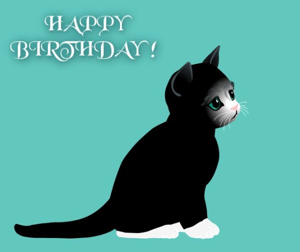 Happy Birthday - Black Cat!-wb0160107