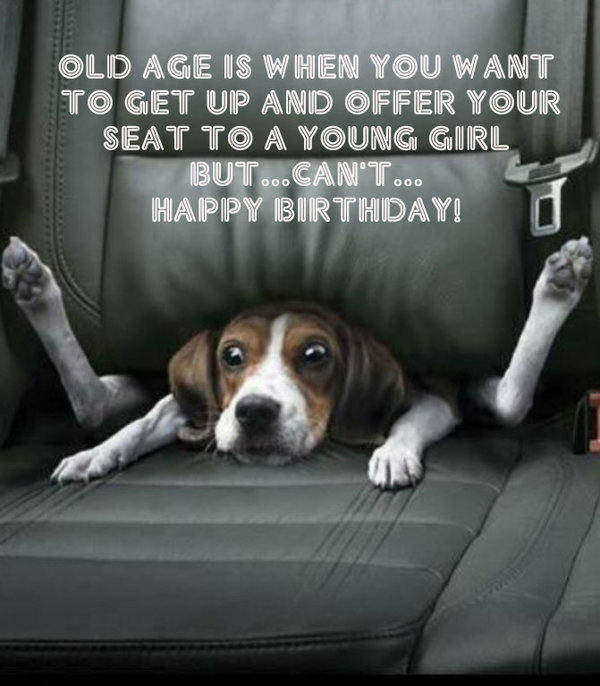 Happy Birthay - Funny Dog-wb0160155