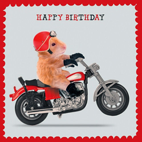 Funny Rat- Happy Birthday-wb16104