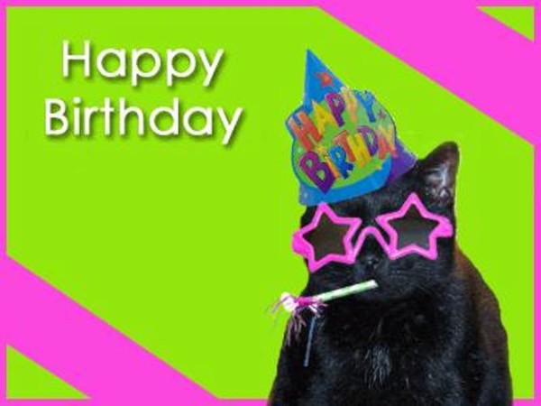 Happy Birthday - Black Cat-wb0160206