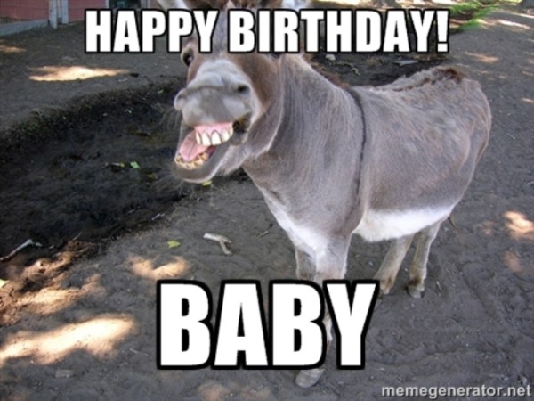 Happy Birthday - Donkey-wb16135
