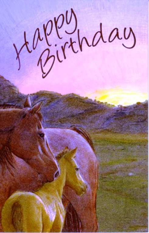 Happy Birthday  - Horse Image-wb4611