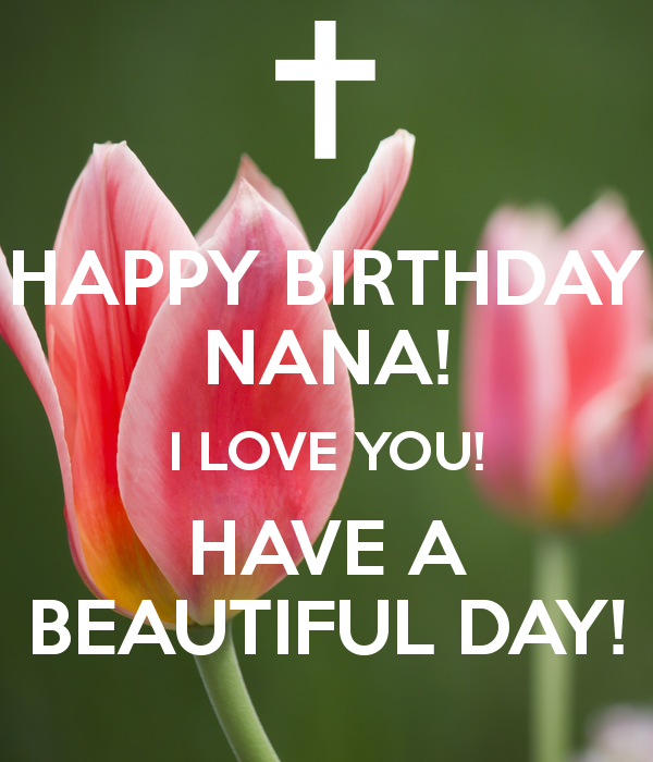 Happy Birthday Nana I Love You-wg46059