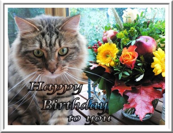 Happy Birthday To U - Cat
