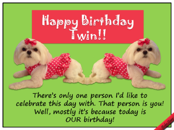 Happy Birthday Twin-wb0160278