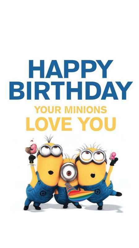 Happy Birthday Your Minions Love You-wb16283