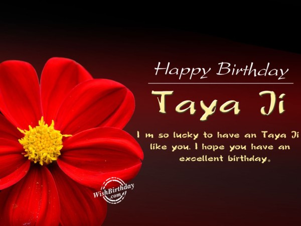 I Am So Lucky To Have An Taya Ji-wg46097