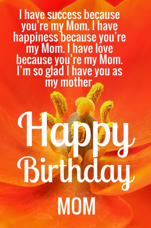 I Have Success Because You Are My Mom-wb0141149