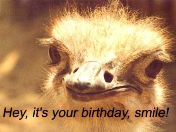 It's Your Birthday - Smile-wb0160629