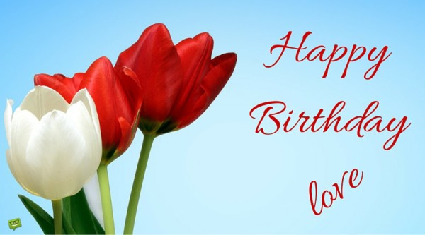 Happy Birthday - Red Flower-wb0160750