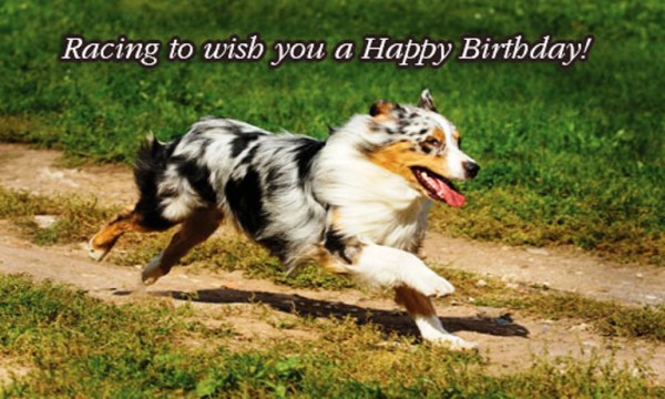 Racing To Wish You  A Happy Birthday-wb4639