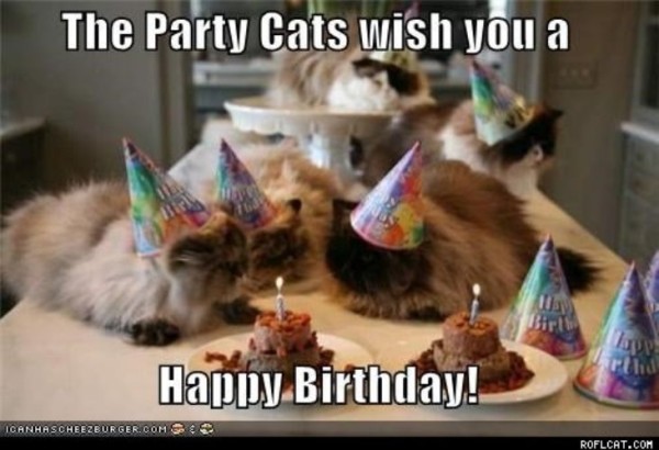 The Party Cats Wish You a Happy Birthday-wb16522