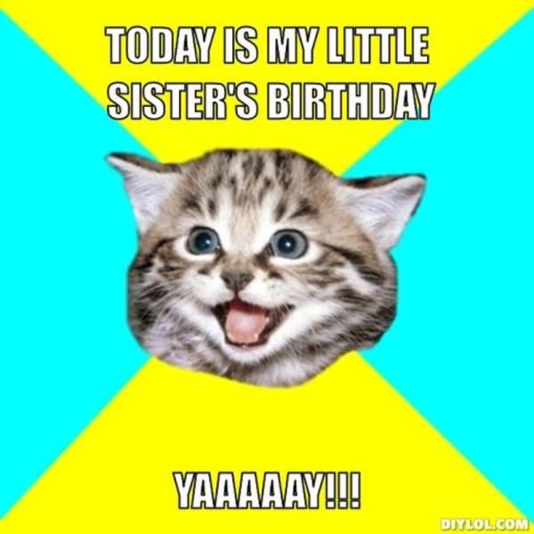 Today Is My Little Sister Birthday-wb16544