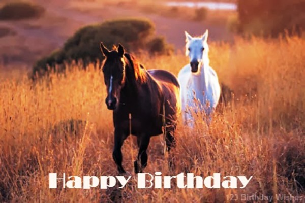  Happy Birthday With Horse-wb4653