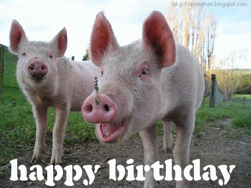 White Pig - Happy Birthday-wb16563