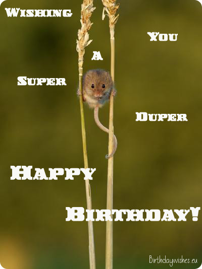 Wishing You A Super Duper Birthday-wb0160966