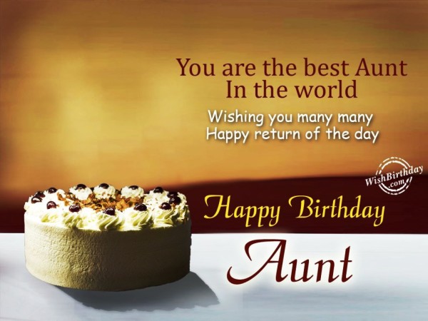 You Are The Best Aunt  In The World-wg46104