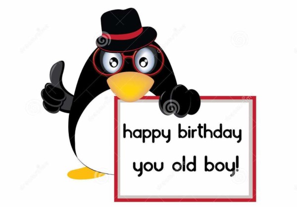 You Old Boy - Happy Birthday-wb16161